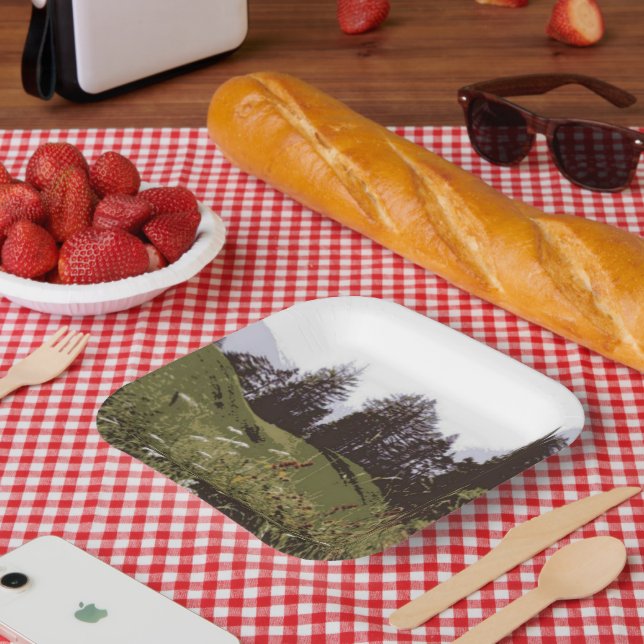 Teller des Hochgebirgsparadieses (Picknick)