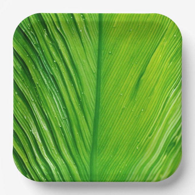 Teller mit Leaf-Design (Vorderseite)