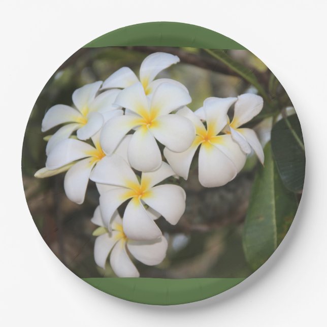 Teller mit tropischen Blume, Plumeria (Vorderseite)