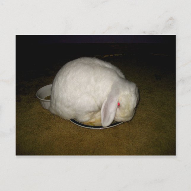 Teller Postkarte (Vorderseite)