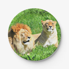 Teller von Lion und Lion zum Grünbuch
