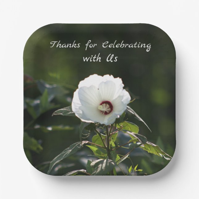 Teller zum Weißbuch zur Blume (Vorderseite)