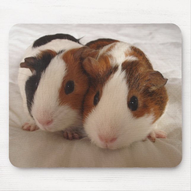 Telmha u. Louise Mousepad (Vorne)