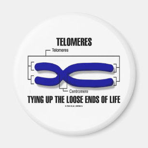 Telomeres, das herauf die losen Bandenden des Magnet
