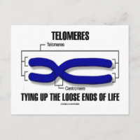 Telomeres, die die verlorenen Lebensenden zusammen