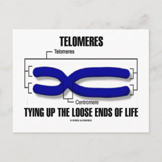 Telomeres, die die verlorenen Lebensenden zusammen Postkarte