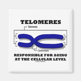 Telomeres, die für das Altern auf Zellebene verant Magnet