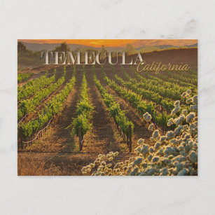 Temecula Weinkultur und Erde Weinroute Mendrisiott Postkarte