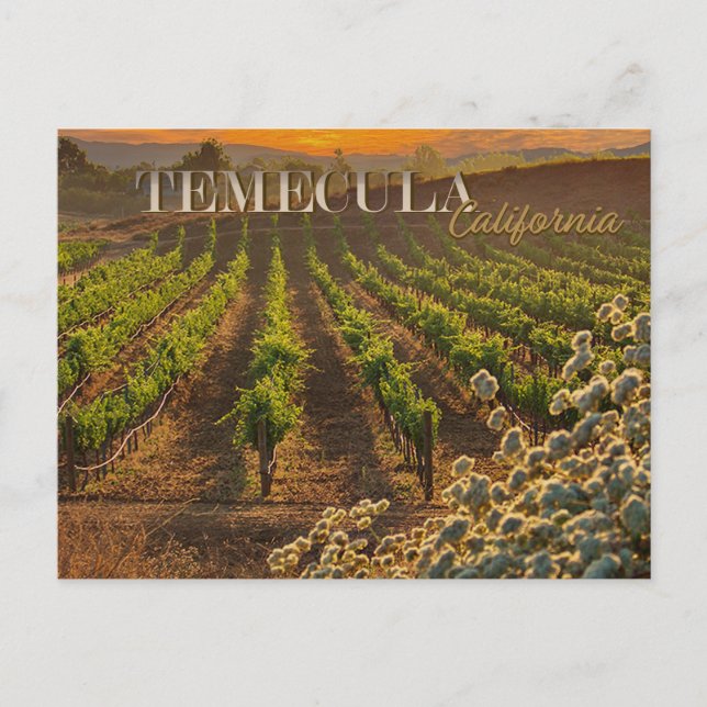 Temecula Weinkultur und Erde Weinroute Mendrisiott Postkarte (Vorderseite)