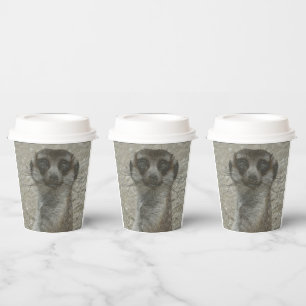 Temp Cup Pappbecher