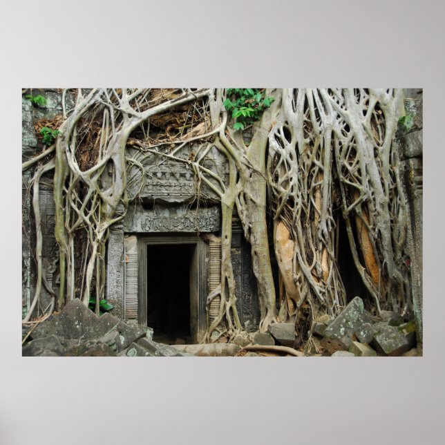 Tempelangkor Poster (Vorne)