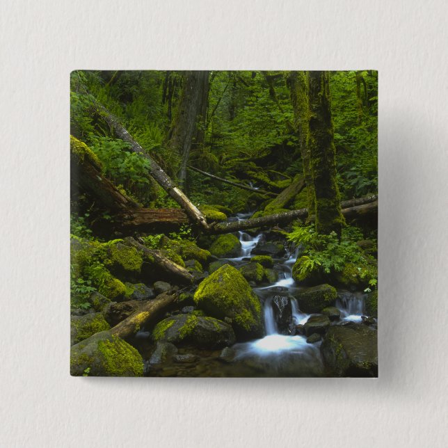 Temperament Rainforest Stream in Columbia River Button (Vorderseite)