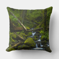 Temperament Rainforest Stream in Columbia River
