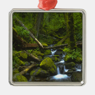 Temperament Rainforest Stream in Columbia River Silbernes Ornament