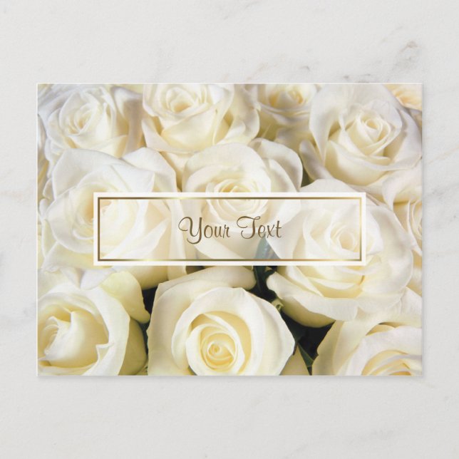 Template für die Elegance White Rose Postkarte (Vorderseite)