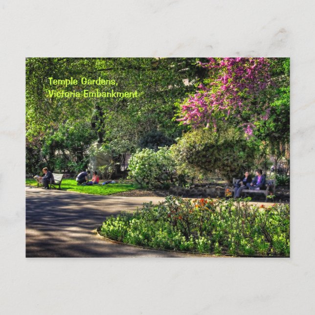 Temple Gardens, Victoria Embankment, London Postkarte (Vorderseite)