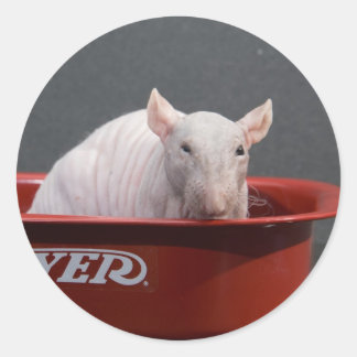 Templeton Runder Aufkleber