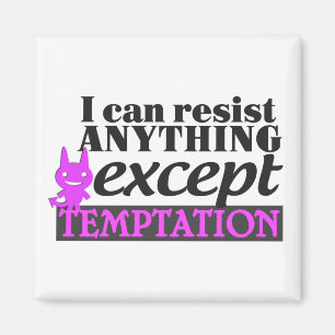 Tempomat Magnet