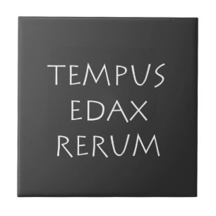 Tempus edax rerum fliese
