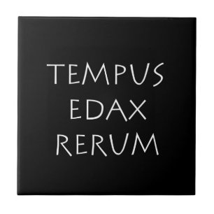 Tempus edax rerum fliese
