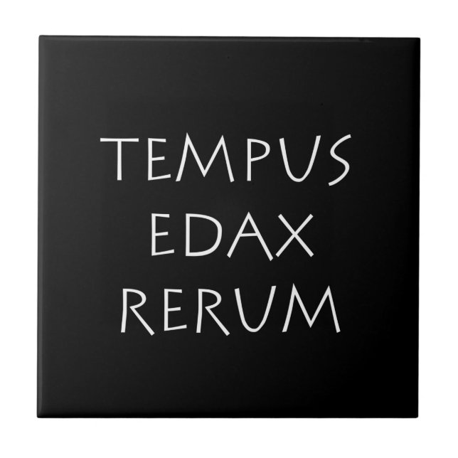 Tempus edax rerum fliese (Vorderseite)