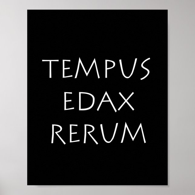 Tempus edax rerum poster (Vorne)