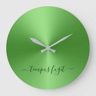 Tempus Fugit Light Green Metallic Style Acrylic Große Wanduhr