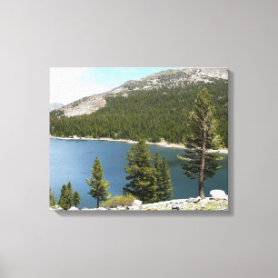 Tenaya Lake im Yosemite National Park Leinwanddruck
