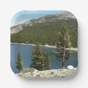 Tenaya Lake im Yosemite National Park Pappteller