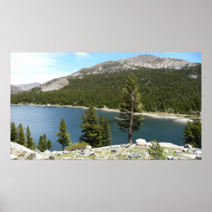 Tenaya Lake im Yosemite National Park Poster