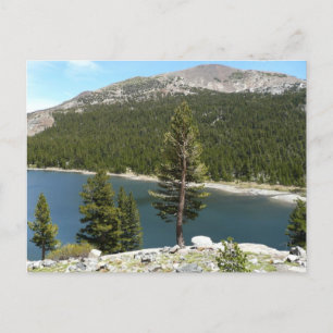 Tenaya Lake im Yosemite National Park Postkarte