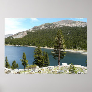 Tenaya Lake on Yosemite National Park Poster