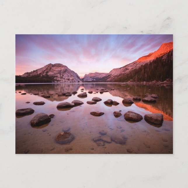 Tenaya Lake Postkarte (Vorderseite)