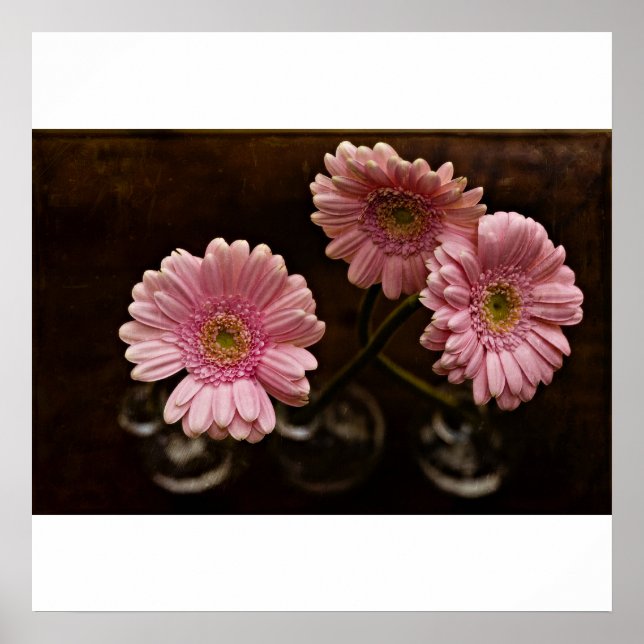 tendenziell poster (Vorne)