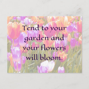 tendieren zu Ihrem Garten und Ihre Blume blühen Postkarte
