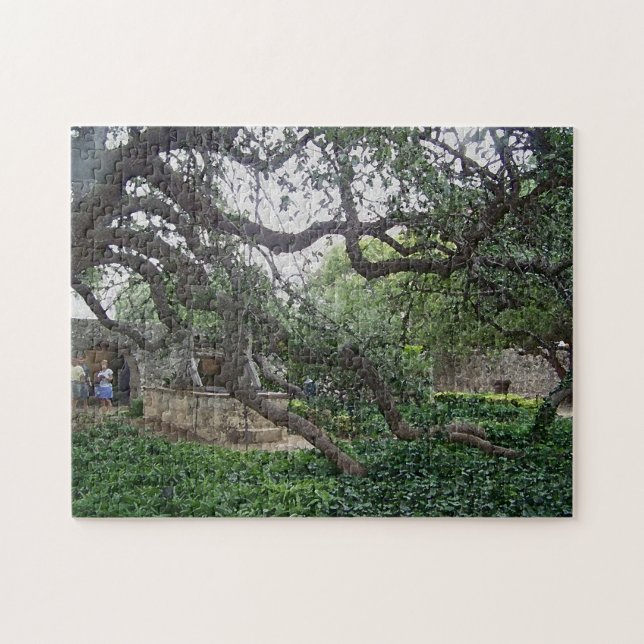Tendril-Baum im Alamo, San Antonio, Texas Puzzle (Horizontal)