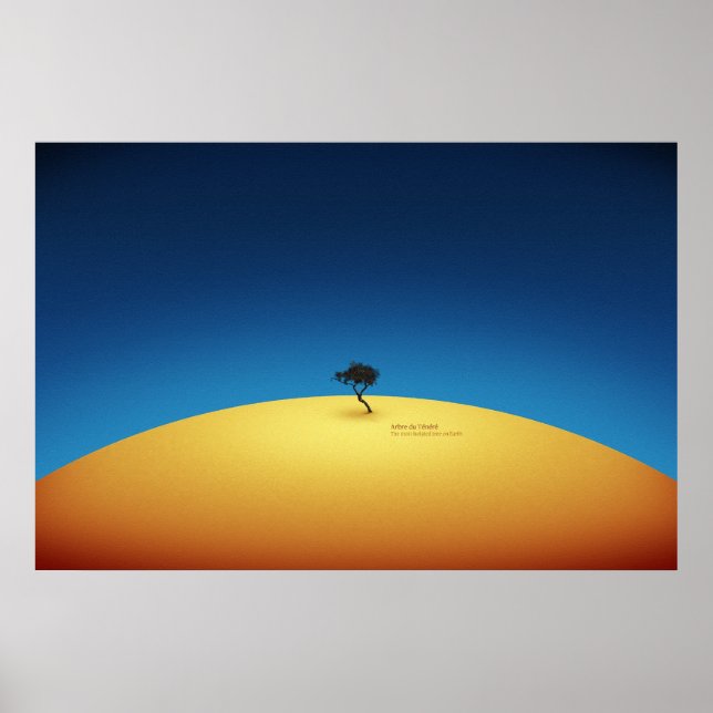 Tenere Tree Poster (Vorne)