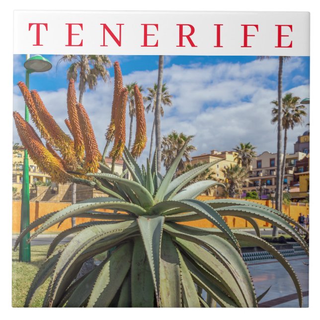 Tenerife Aloe Vera Pflanze Keramik Fliese (Vorderseite)