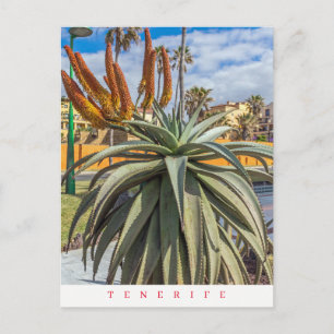 Tenerife Aloe Vera Pflanze und Blume Postkarte
