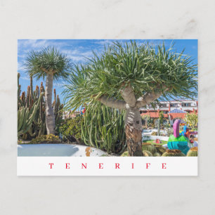 Teneriffa Einmaliger Blick auf die Bäume Postkarte
