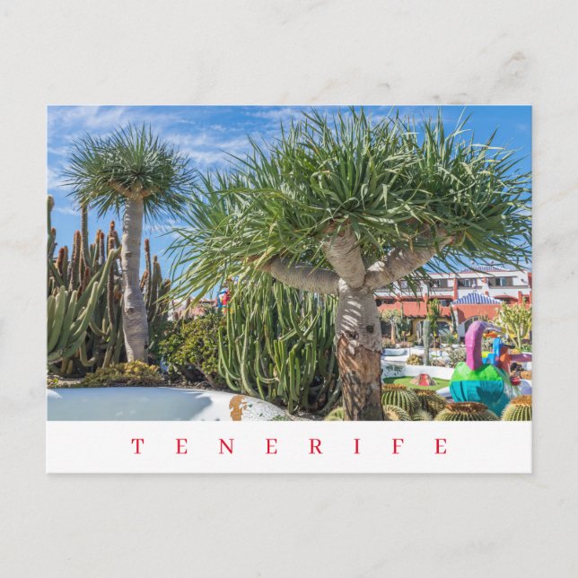Teneriffa Einmaliger Blick auf die Bäume Postkarte (Vorderseite)