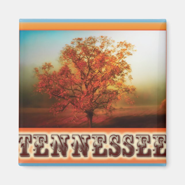 Tennessee Fall Tree Szene Magnet (Vorne)