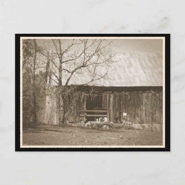 Tennessee Farm Alter Stall Postkarte (Vorderseite)