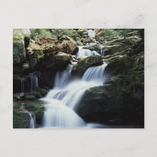 Tennessee, Great Smoky Mountains National Park 3 Postkarte