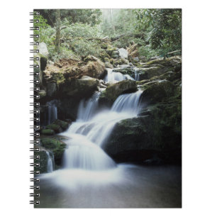 Tennessee, Great Smoky Mountains Nationalpark 3 Notizblock
