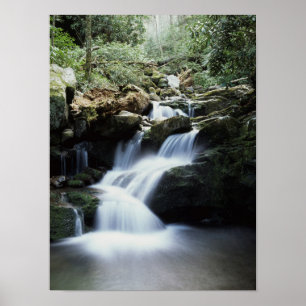 Tennessee, Great Smoky Mountains Nationalpark 3 Poster