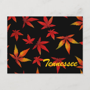 Tennessee-Herbstlaub-Postkarte Postkarte