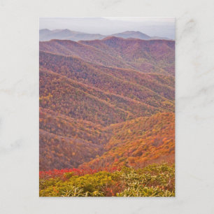 TENNESSEE POSTKARTE