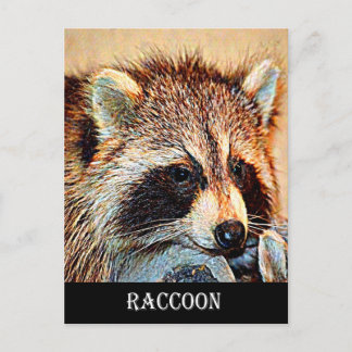 Tennessee Raccoon Postkarte