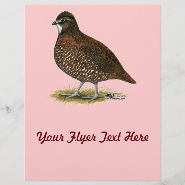 Tennessee Red Quail Flyer (Vorne)